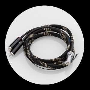 Signature 12 feature 7