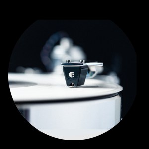 Signature 12 feature 8