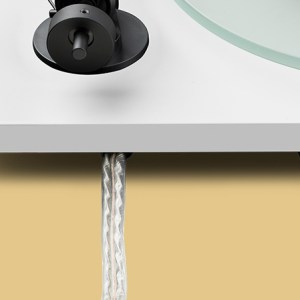 T1 Evo Backside White Web