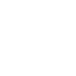 Truebalancedconnection logo